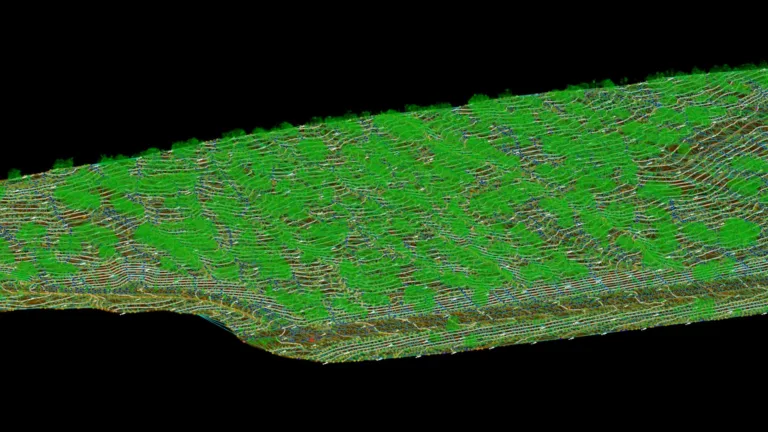 vegetated topographic survey