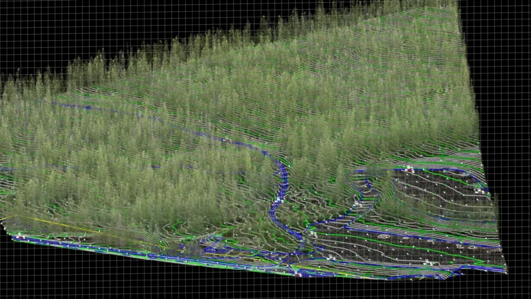 ski area forestry survey