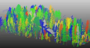 LiDAR-based tree inventory and asset mapping in Summit County, Colorado