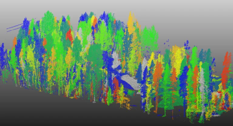 LiDAR-based tree inventory and asset mapping in Summit County, Colorado